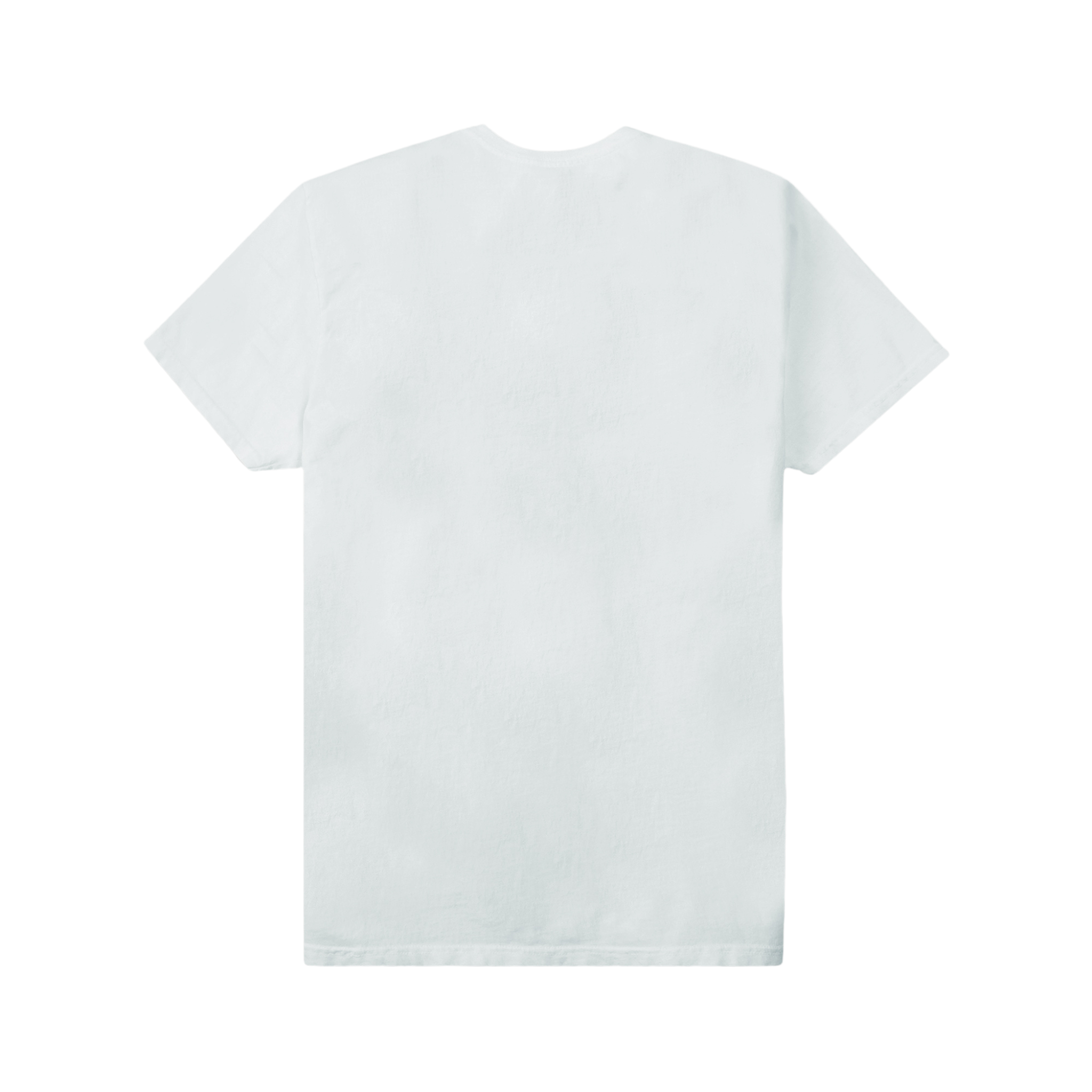 Paper Planes Reflection Tee (Barely Blue)