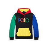 Polo Ralph Lauren Logo Color-Blocked Double-Knit Hoodie (Black/Multicolor)