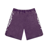 Godspeed CourtSide Shorts (Grape Wash)