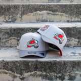 New Era Colorado Avalanche 10th Anniversary 9Fifty A-Frame Snapback