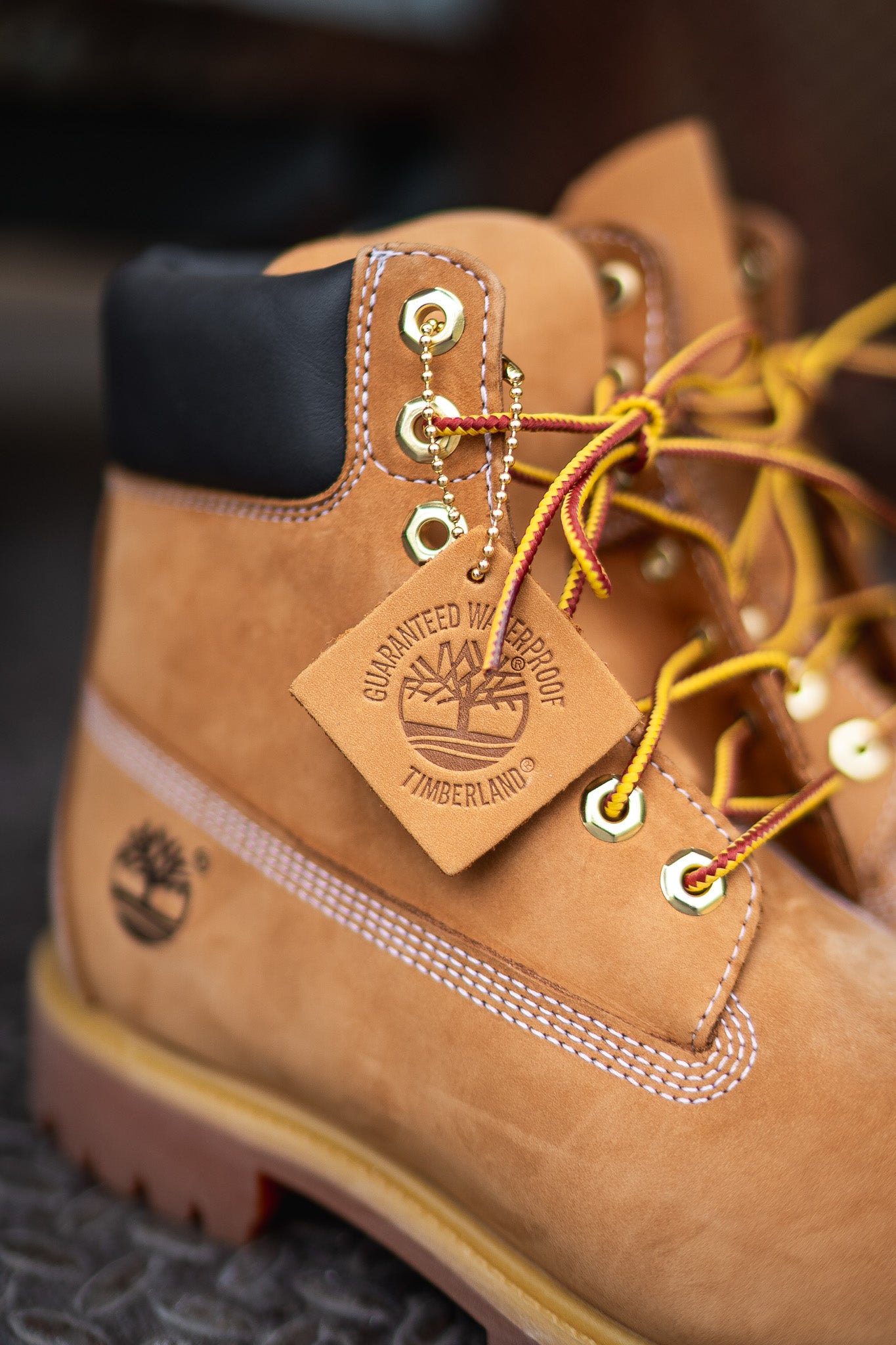 Timberland 6 Inch Boot (Wheat) - Timberland