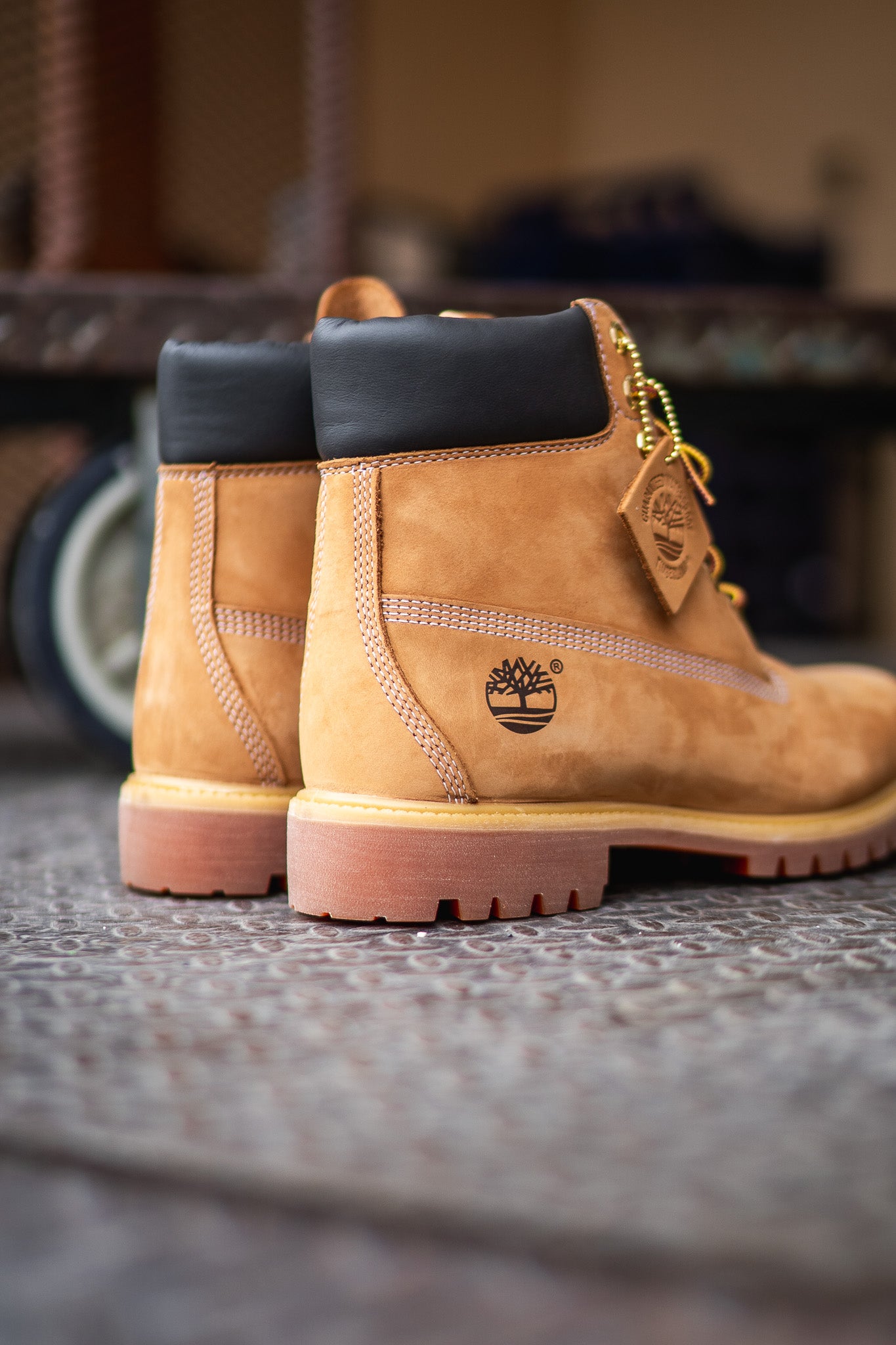 Timberland 6 Inch Boot (Wheat) - Timberland