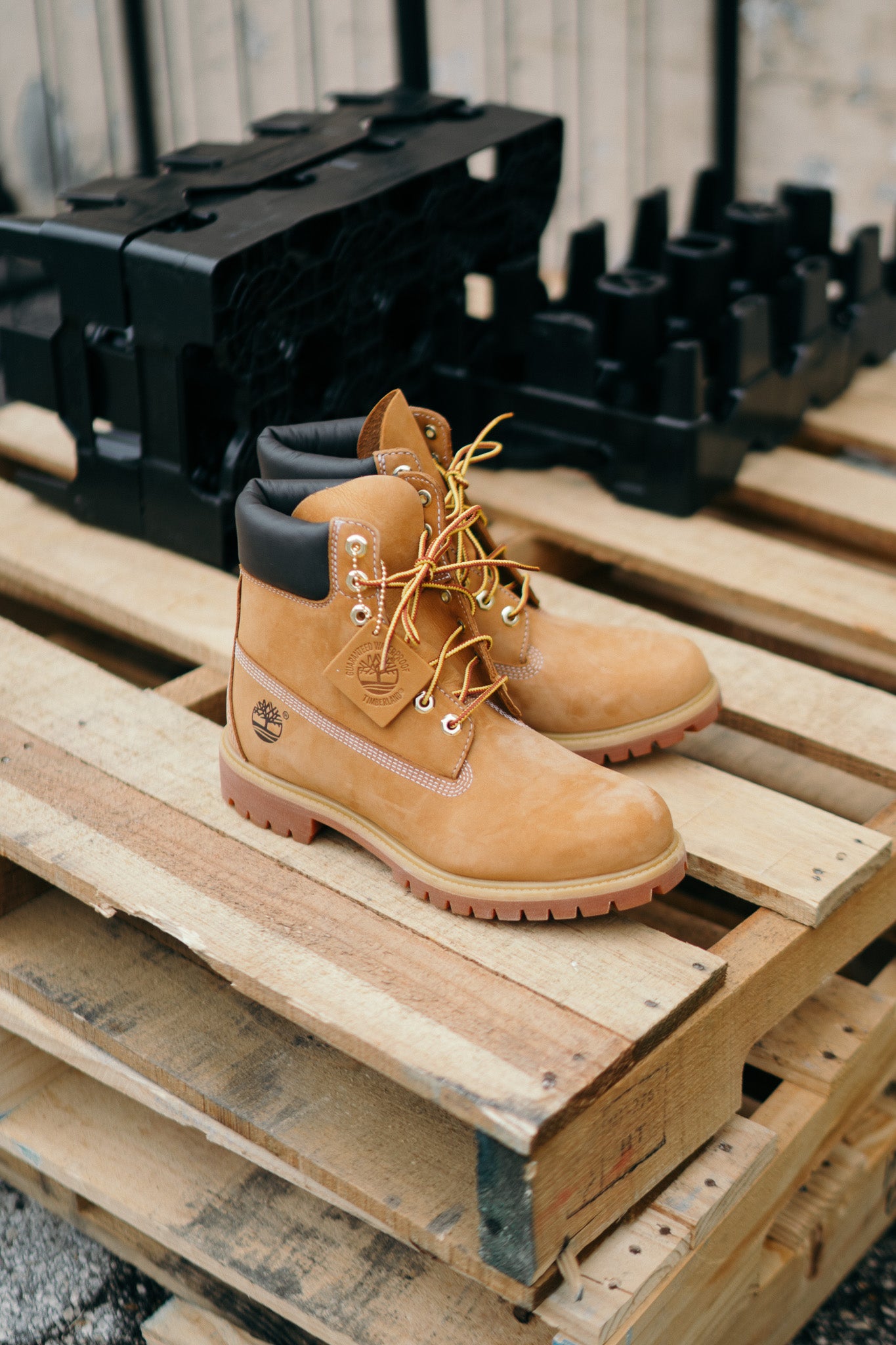 Timberland 6 Inch Boot (Wheat) - Timberland