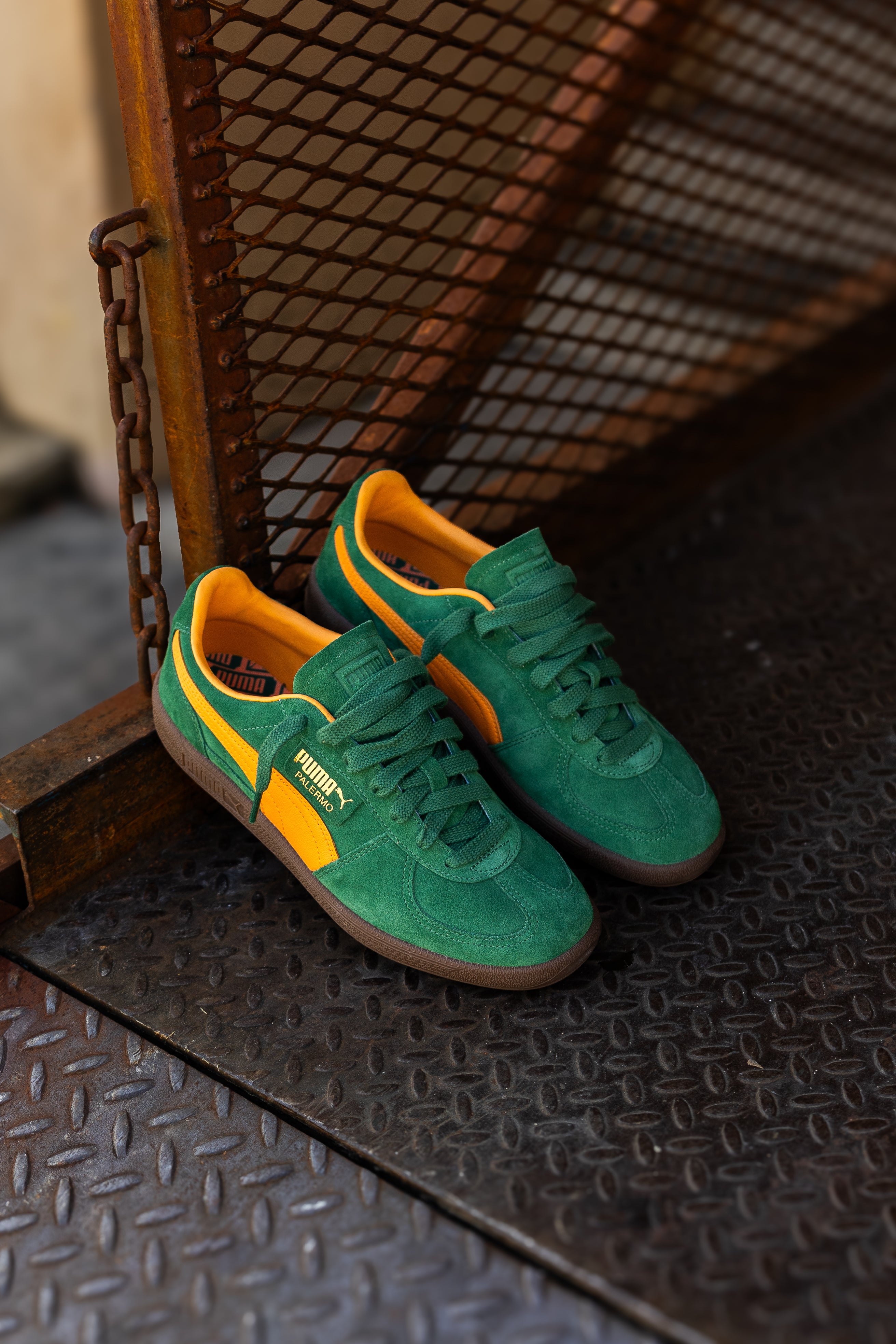 Mens Puma Palermo (Vine/Clementine) - Puma