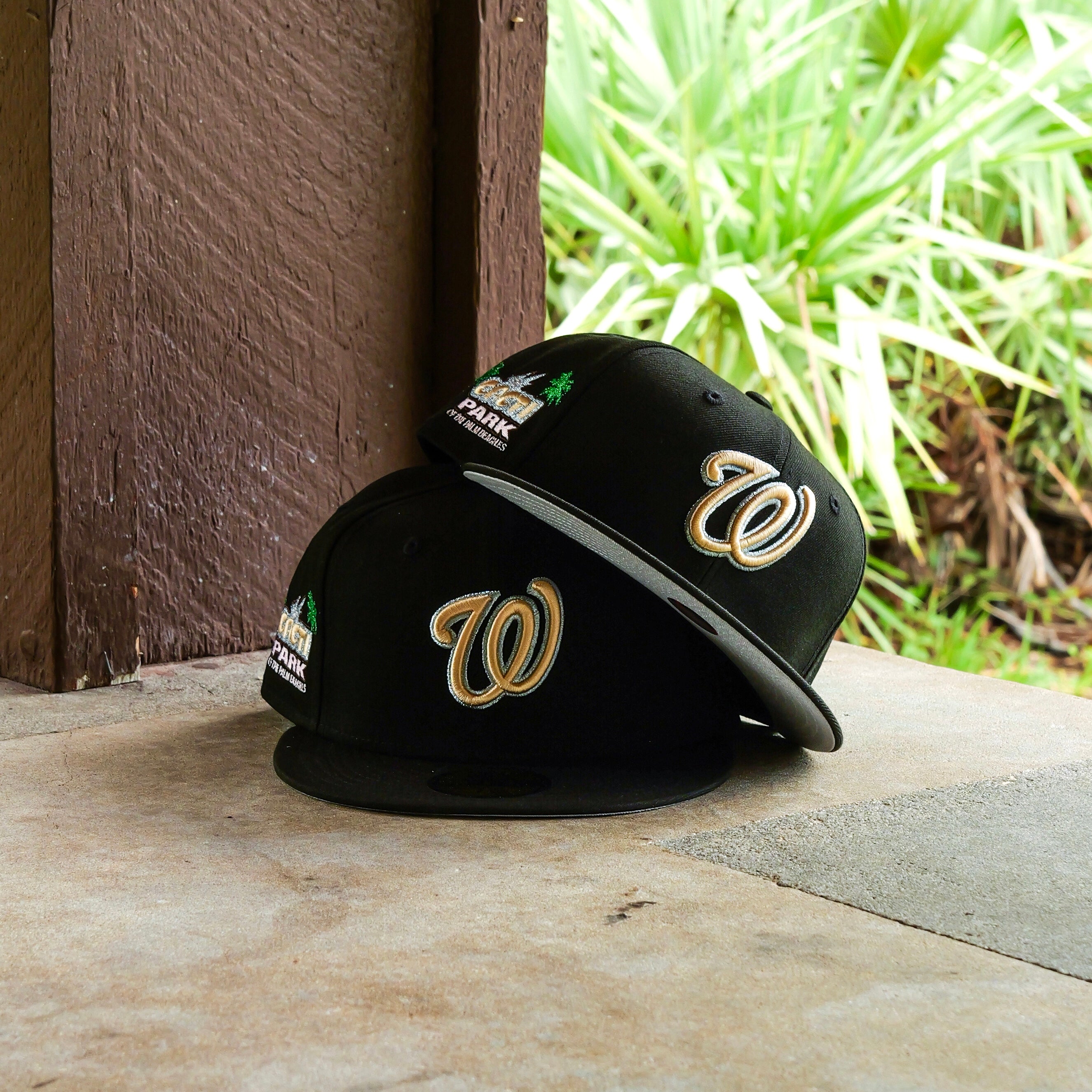 New Era Washington Nationals Cacti Park of The Palm Beaches Fitted - New Era
