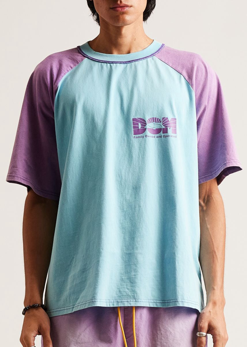 DSM "Family Business" Tee-Purple/Blue - Diet Starts Monday