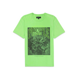 Purple Brand Fallen T-shirt (Green) - PURPLE BRAND