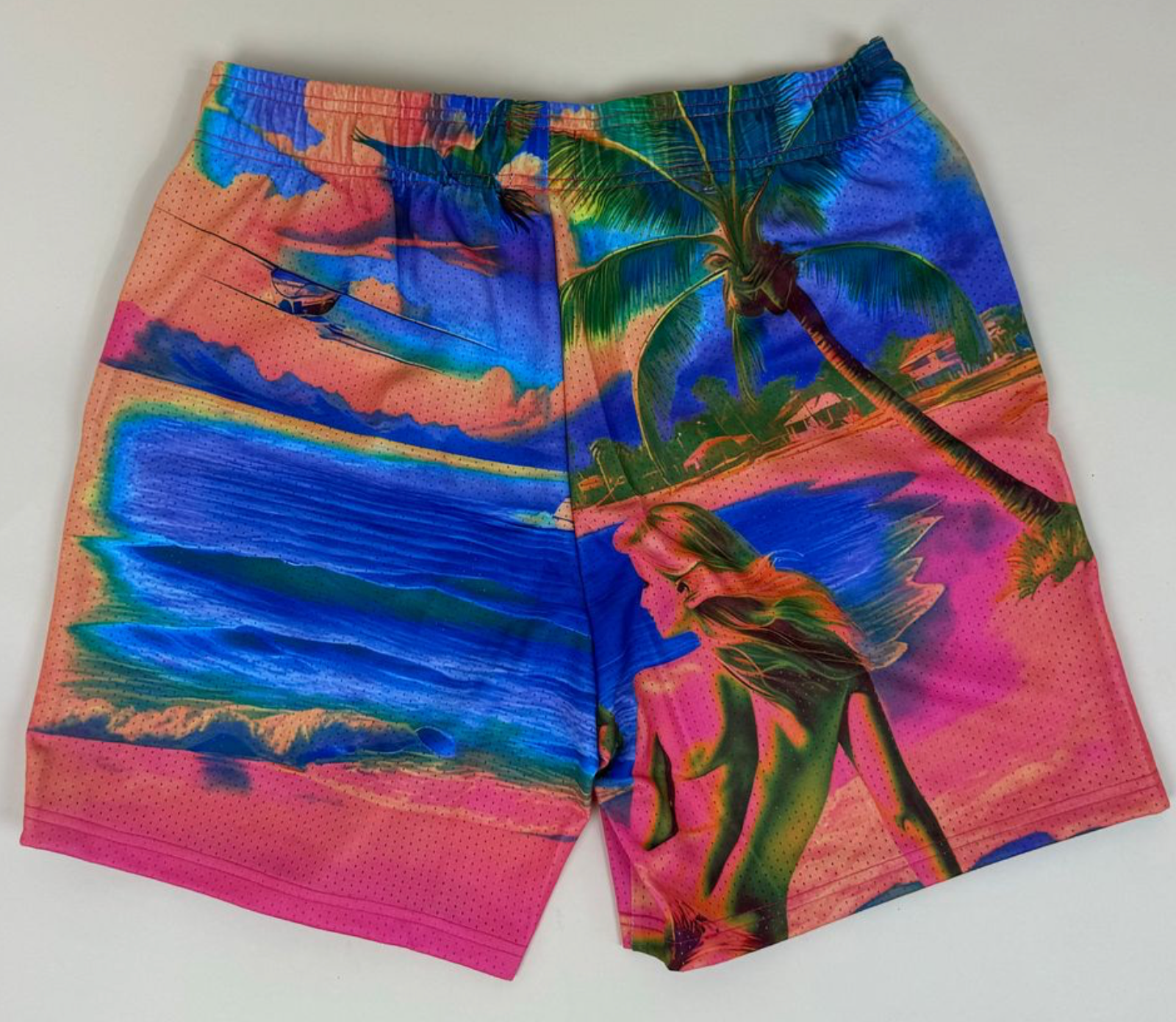 DRY ROT THE VIEW MESH SHORTS - Dry Rot