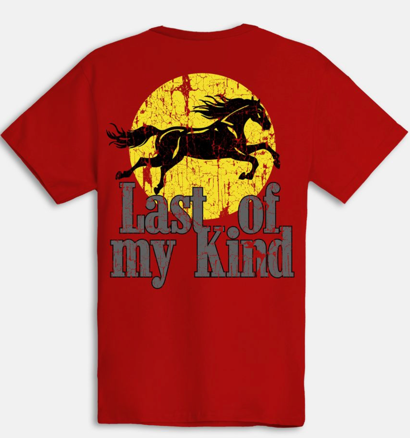 Outrank Last Of My Kind T-shirt (Red) - Outrank