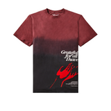 Paper Planes Grateful Tee (Cabernet) - Paper Plane